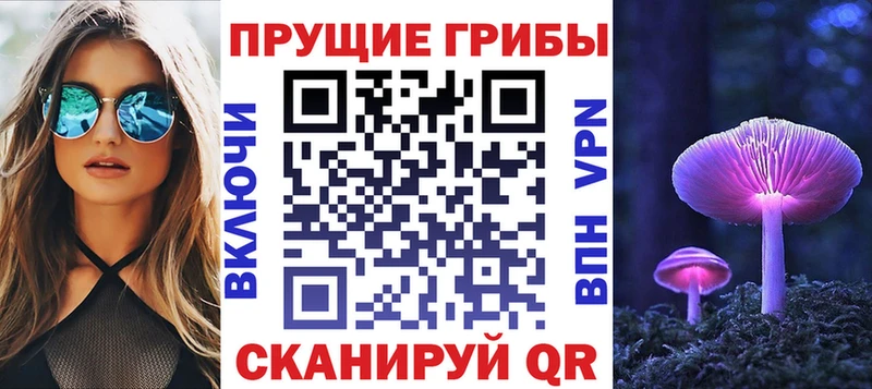 Псилоцибиновые грибы прущие грибы  Большой Камень 